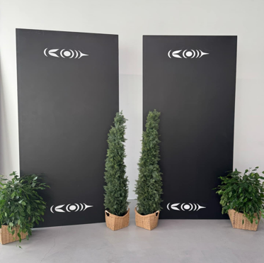 Blank black customizable display boards